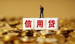 成都28哪有个人借贷-成都28小额贷款公司-成都28私借空放免费上门
